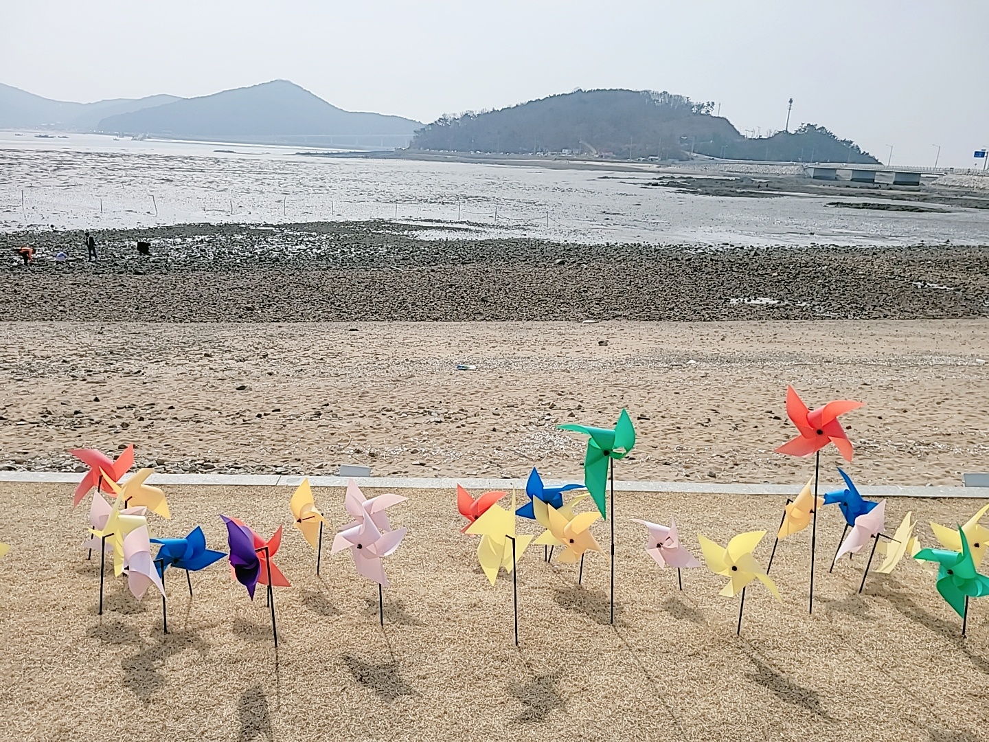 영종도 맛집 소나무 식당 조개구이 해물파전