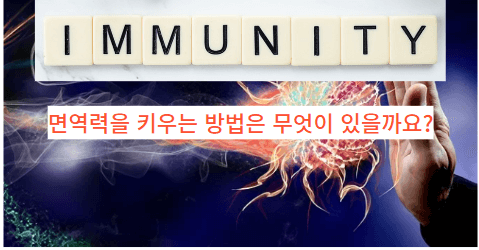  프로바이오틱스를 '잘' 고르는 방법 Top 3