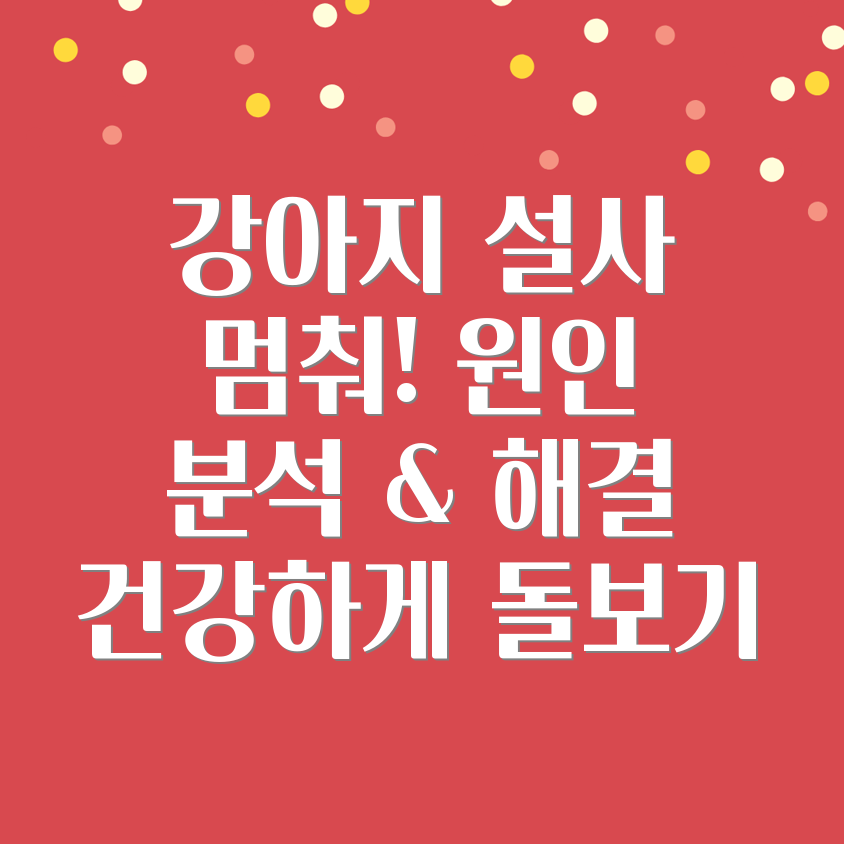 강아지 설사