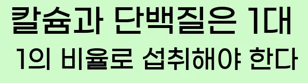  칼슘과 단백질은 1대 1의 비율로 섭취해야 한다.