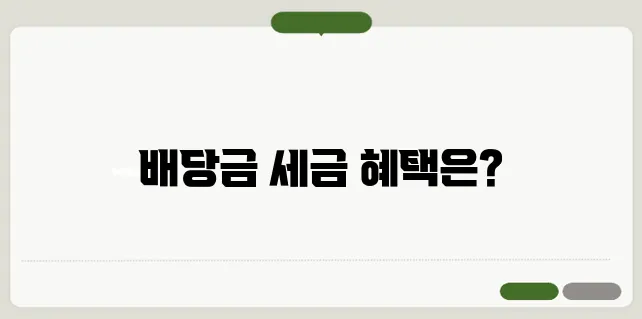 배당금 분리과세