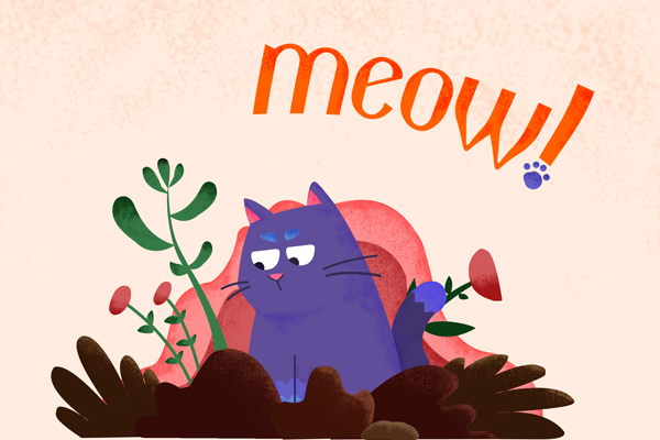  meow!