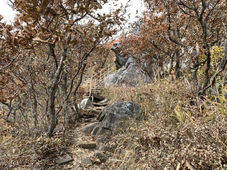 오서산 최단코스 [BAC 100대명산 / 보령 오서산 최단코스] 오서산자연휴양림 ~ 월정사 17