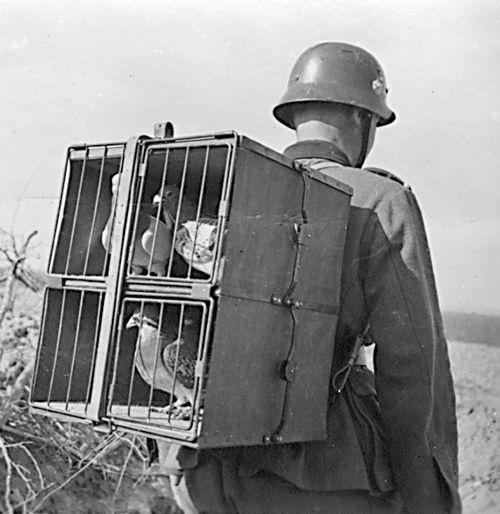 2차 대전 당시 독일군 통신병