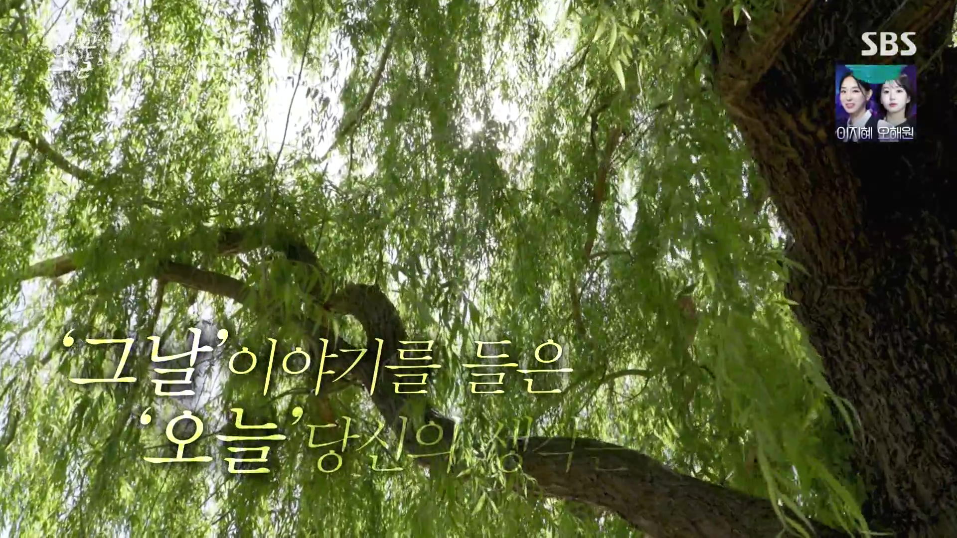 꼬리에 꼬리를 무는 그날 이야기.E107.231221p-NEXT.mp4_20231223_165846.523.jpg