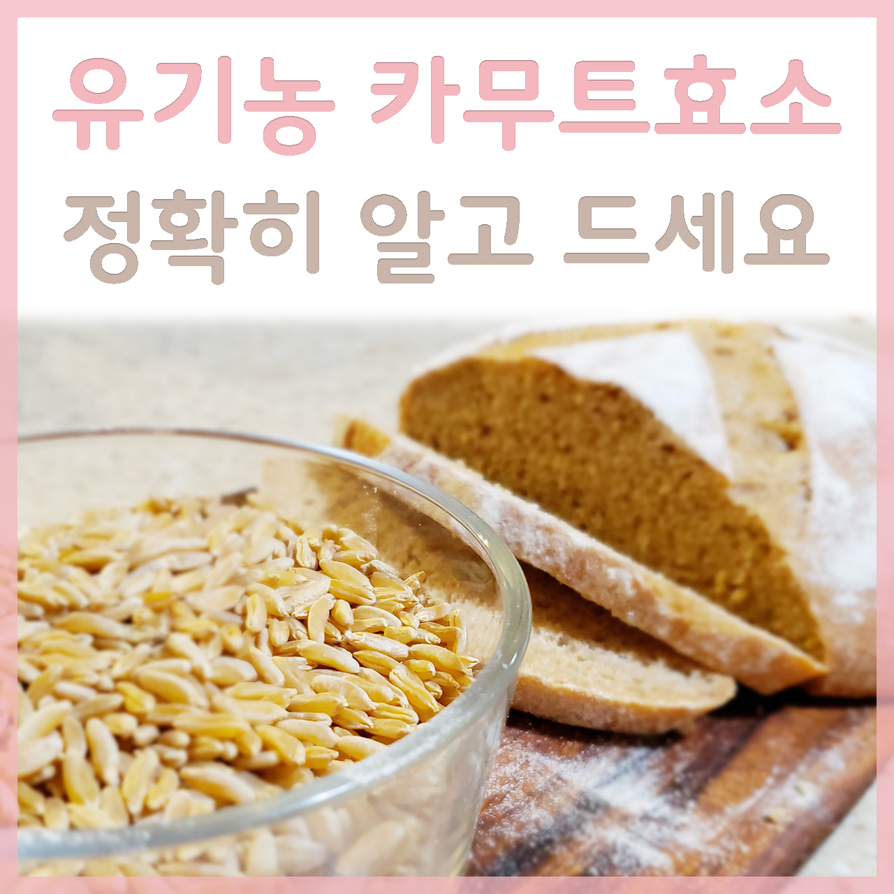 카무트효소