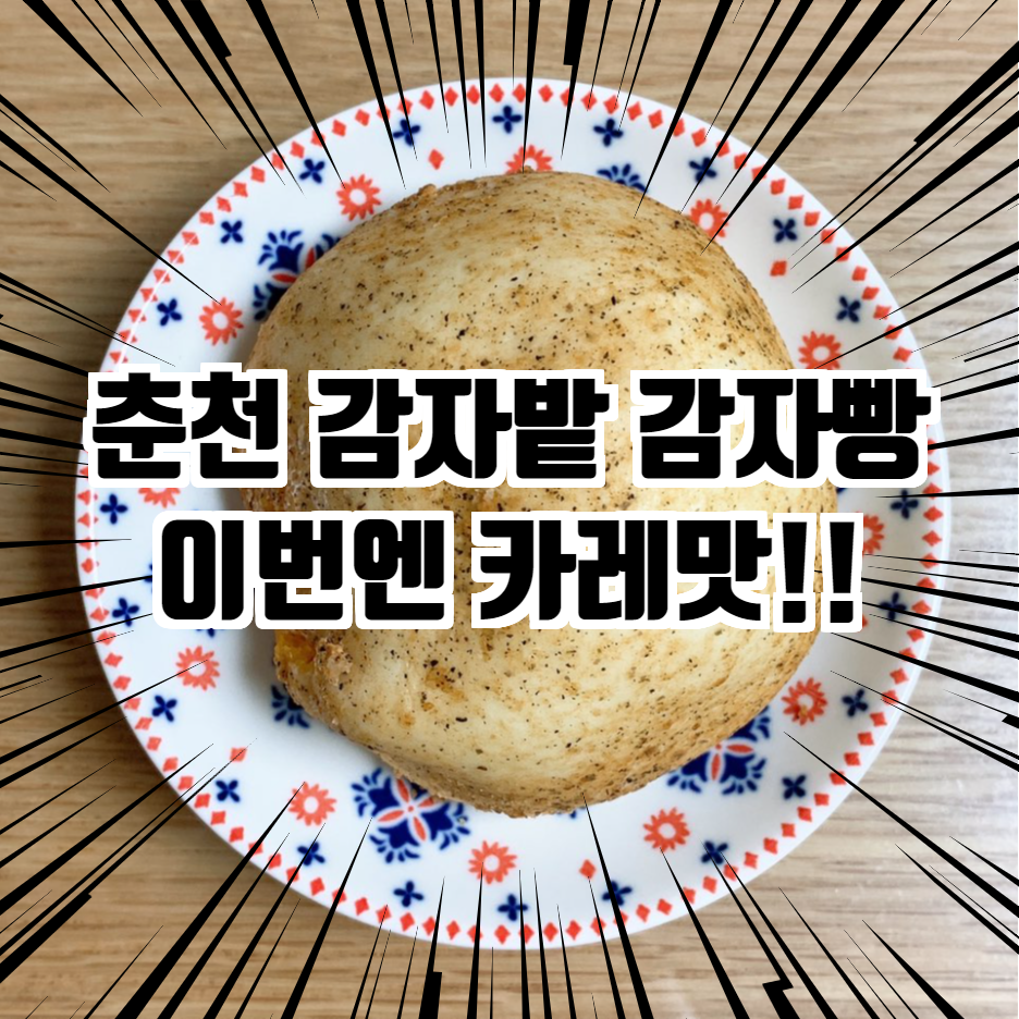  '춘천 감자밭' 신상 카레맛 감자빵 구매해서 먹어 본 찐리뷰