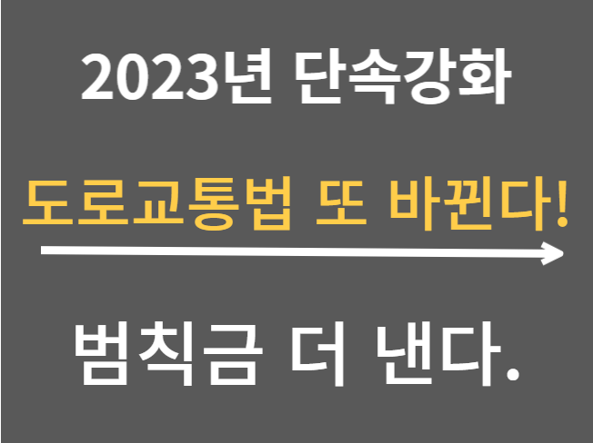  개정된 도로교통법 횡단보도 우회전 일시정지 와 단속규정