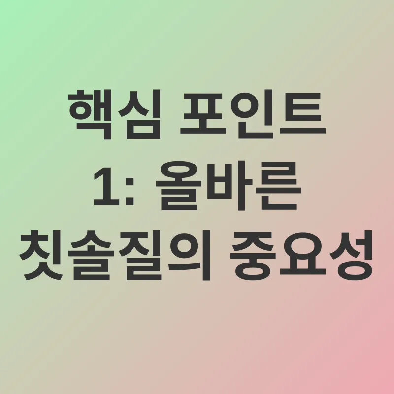 치솔질 개선_1