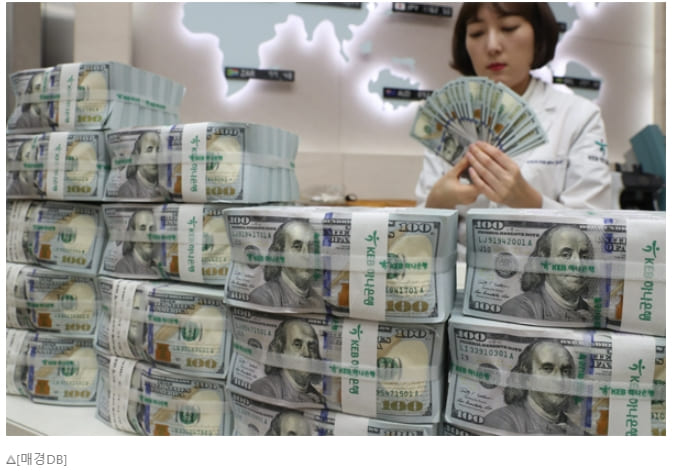  외환보유액 무조건 많을수록 좋은가?