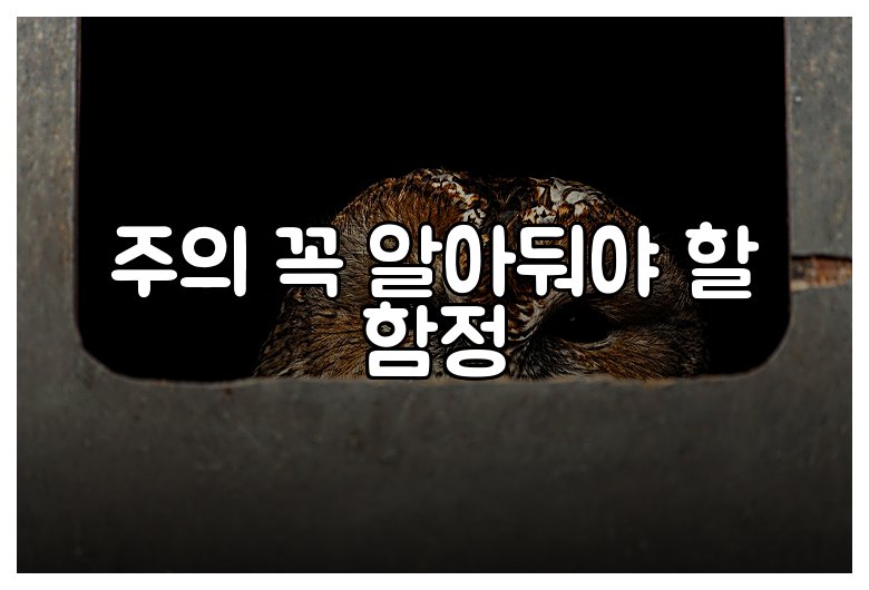 주의 꼭 알아둬야 할 함정