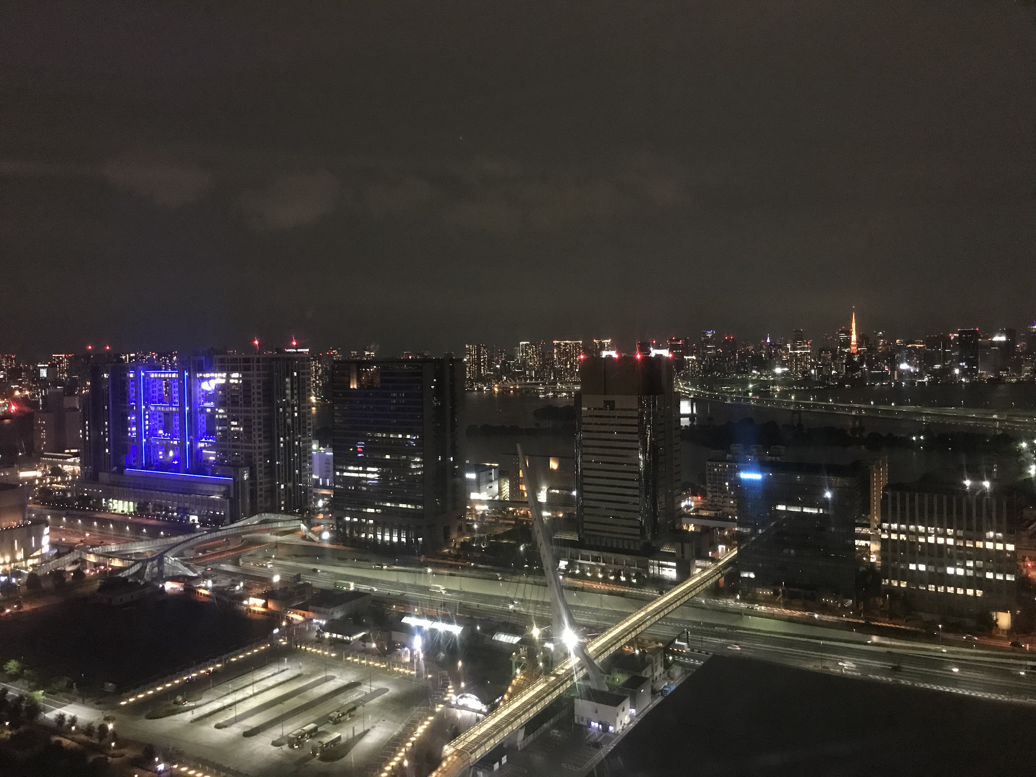 오다이바 대관람차1