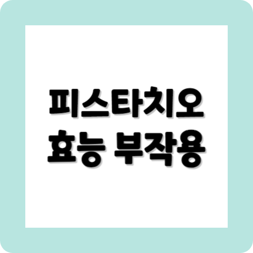 피스타치오의효능