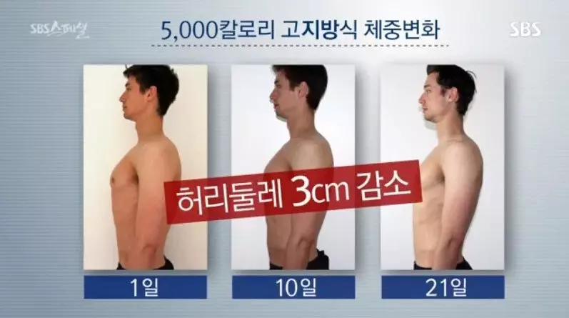 고지방 식단