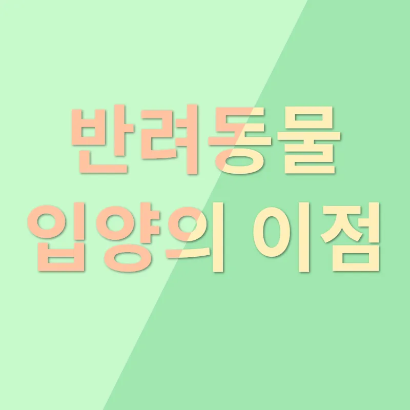 애견장례지도사_2_subsection