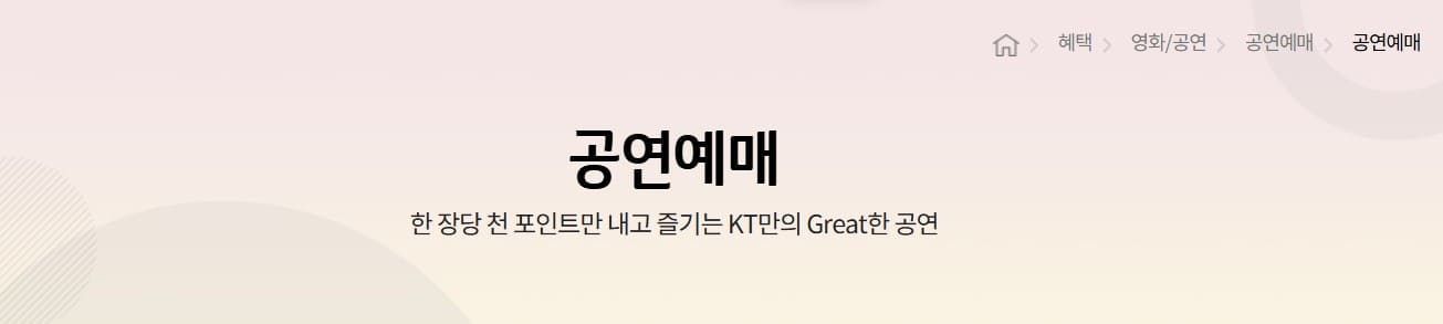kt멤버십공연메인화면사진
