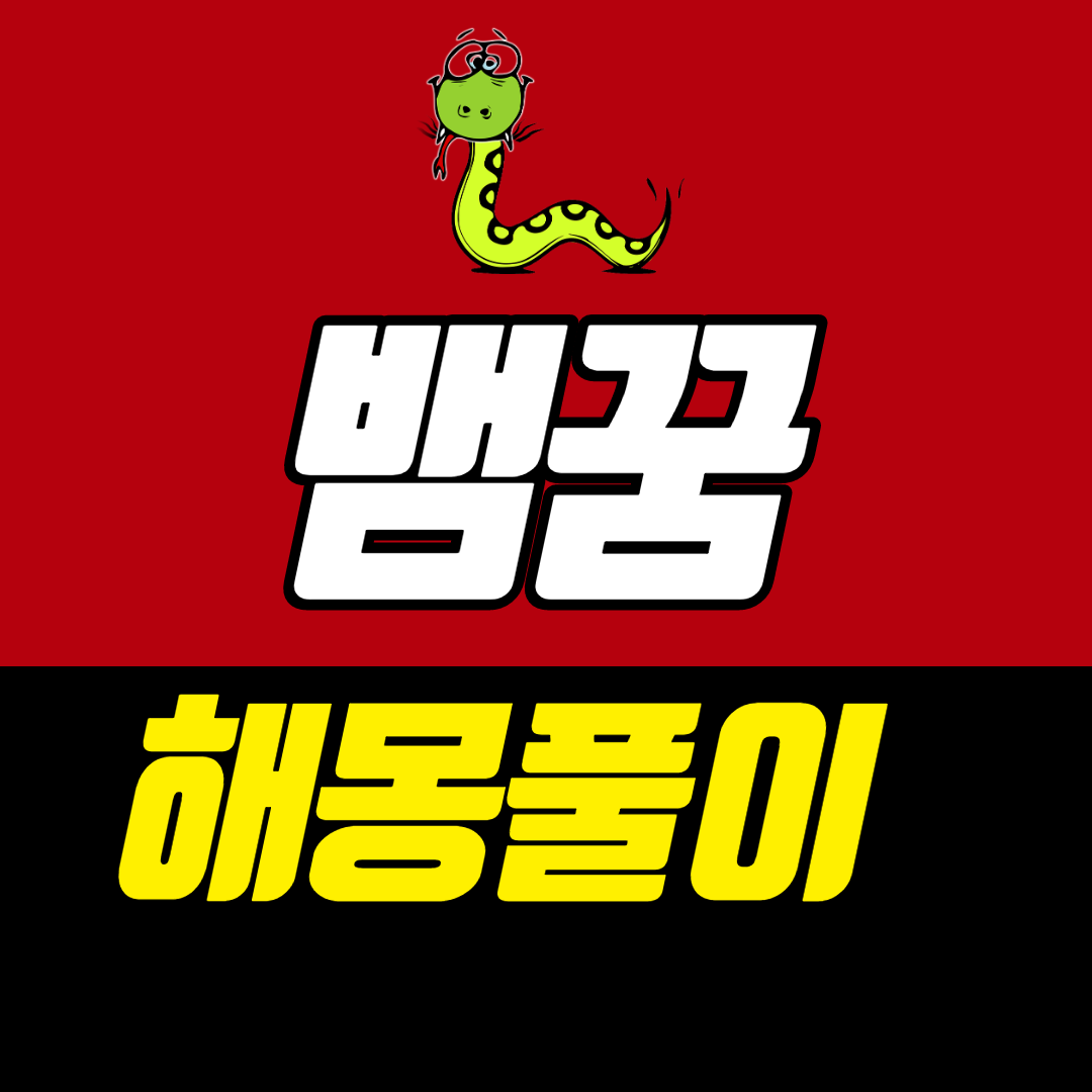  뱀 꿈해몽 풀이 의미 알려드려요!