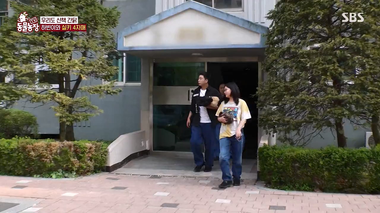 TV 동물농장.E1175.240610p-NEXT.mp4_20240609_160254.217.jpg