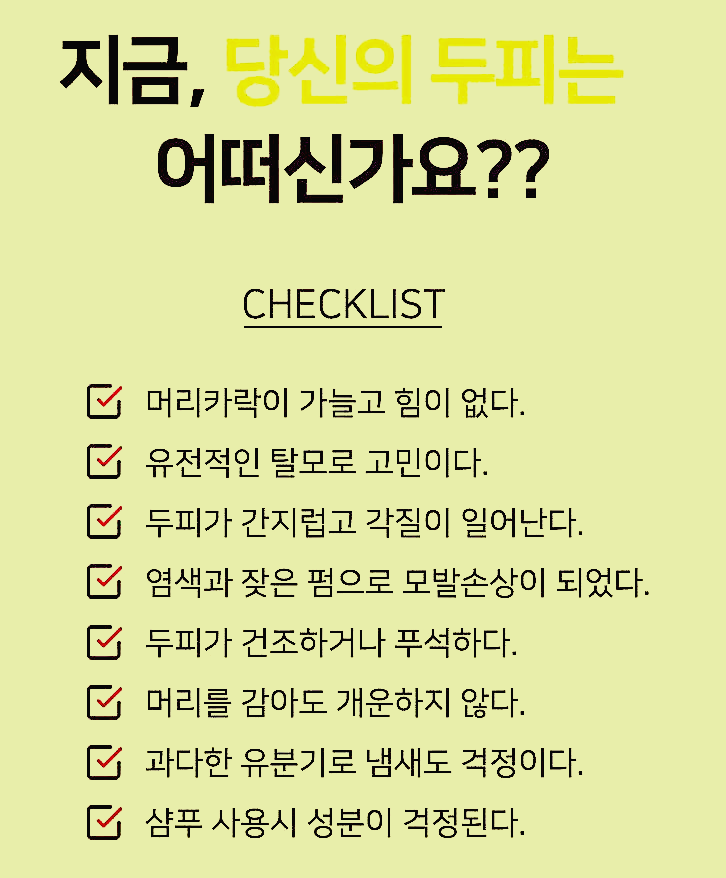 두피체크리스트