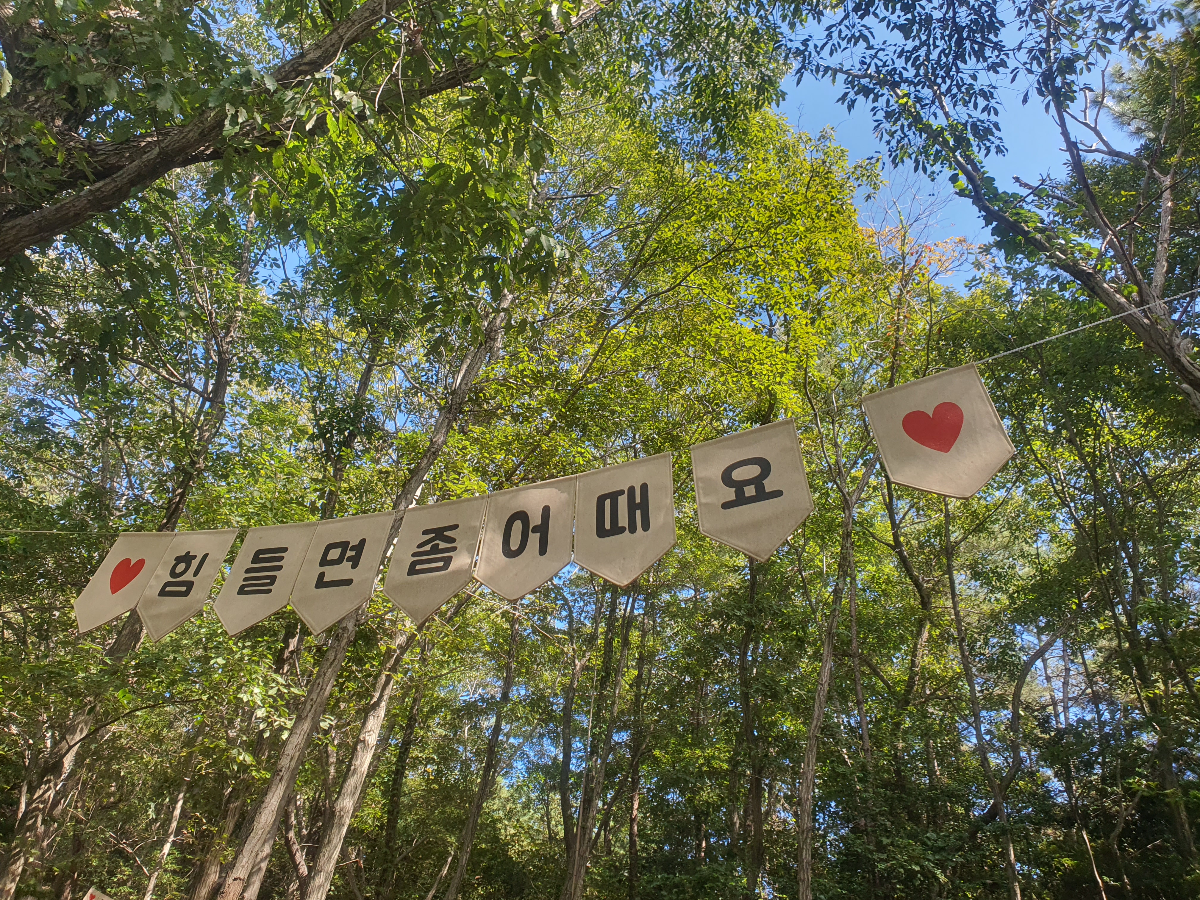 목포 고하도전망대, 바다 위를 걷는 해상데크로 떠나는 힐링 여행