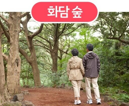 여행의 즐거움
