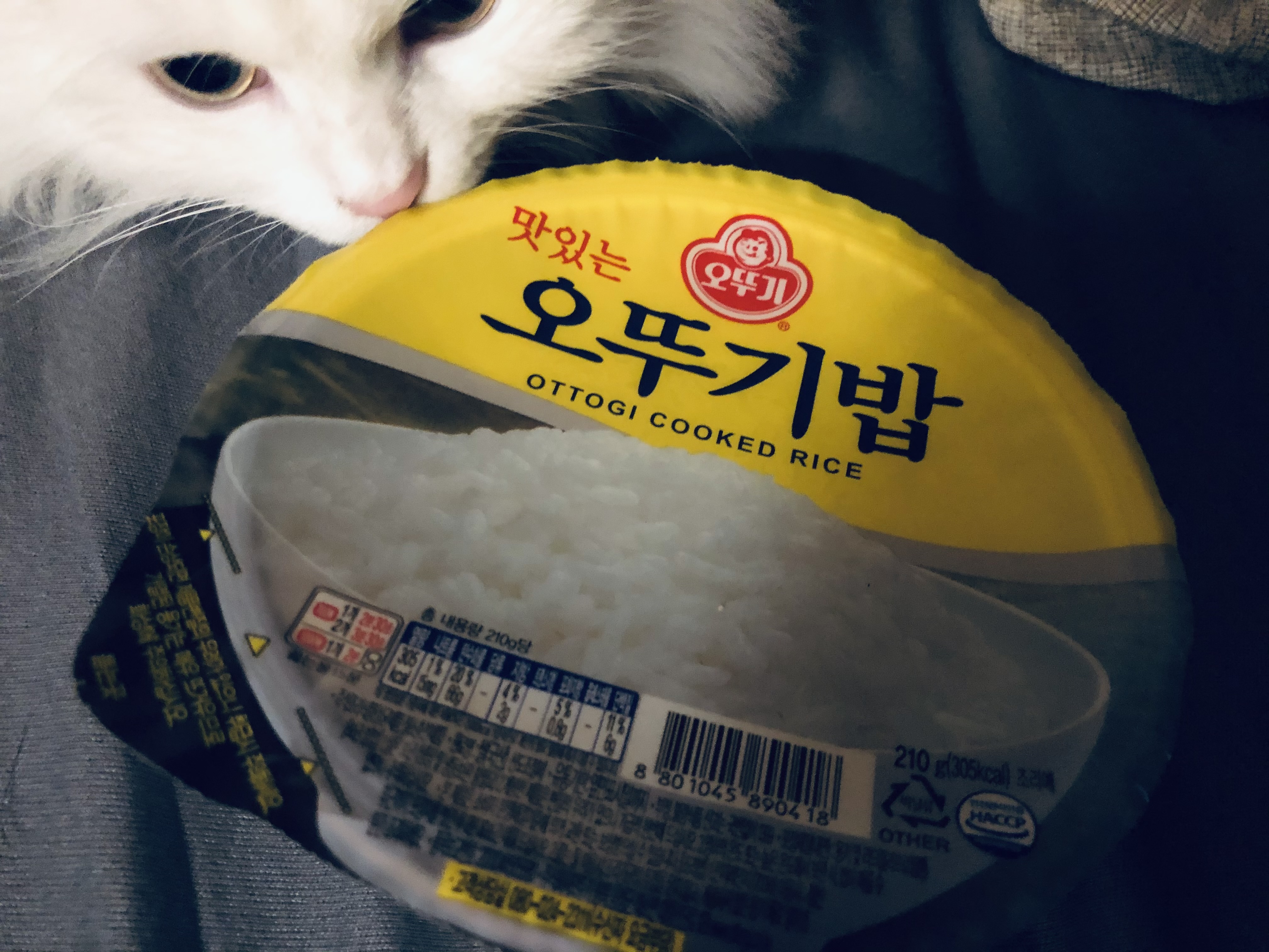  햇반 전자렌지 데우기 방법