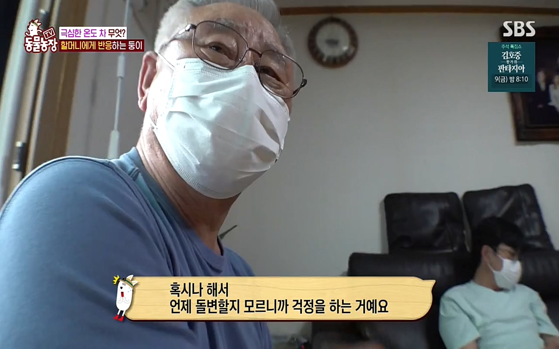 TV 동물농장.E1085.220905p-NEXT.mp4_20220904_173529.118.jpg