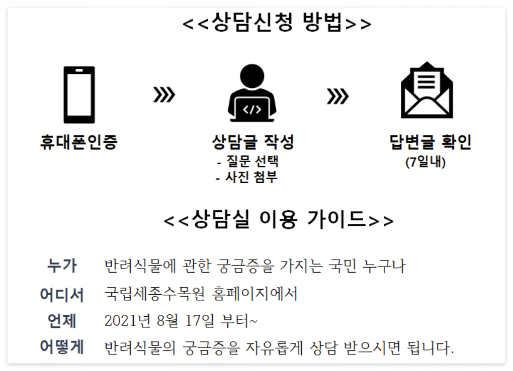 식물 키우기가 어려운 초보 식집사들을 위한 반려식물 클리닉