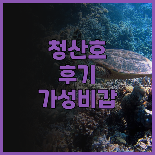 시타딘스 청산호 항주 후기 가성비와 