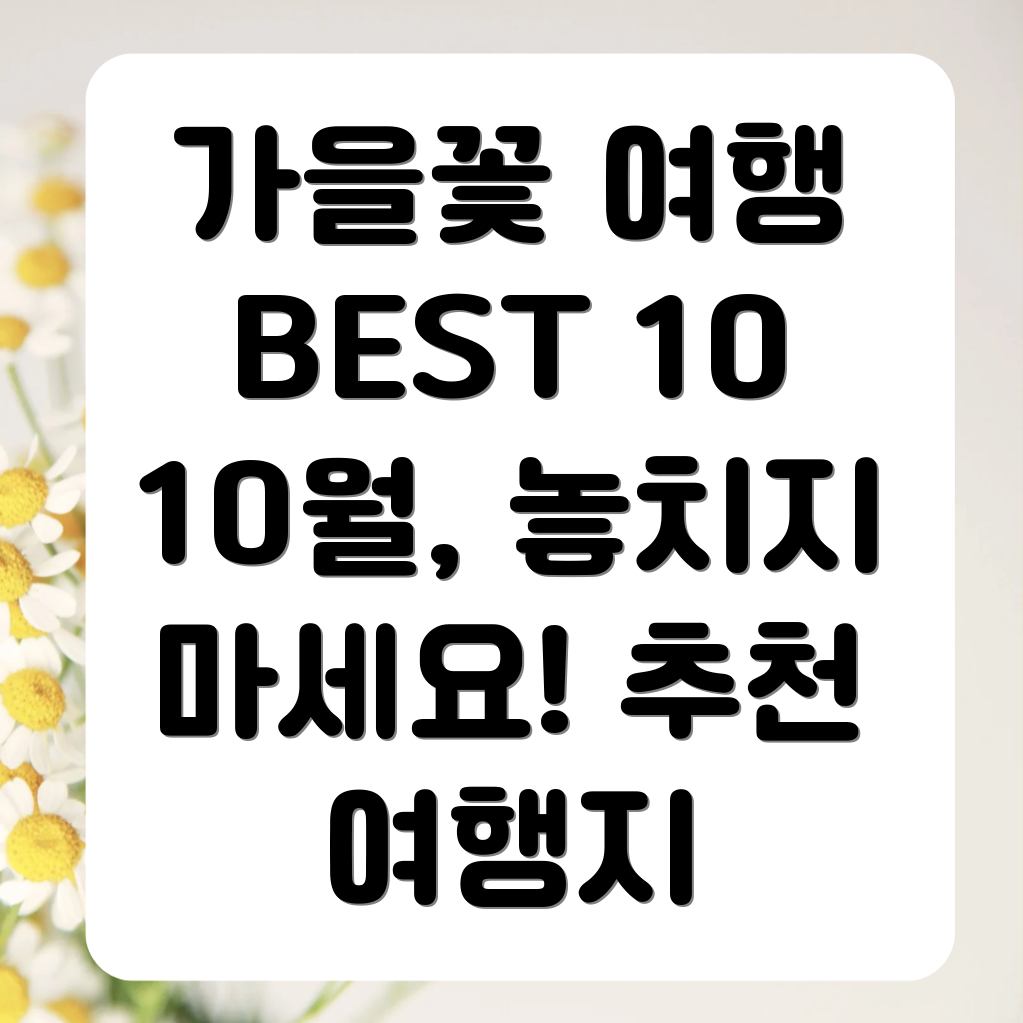 10월 가을꽃 여행