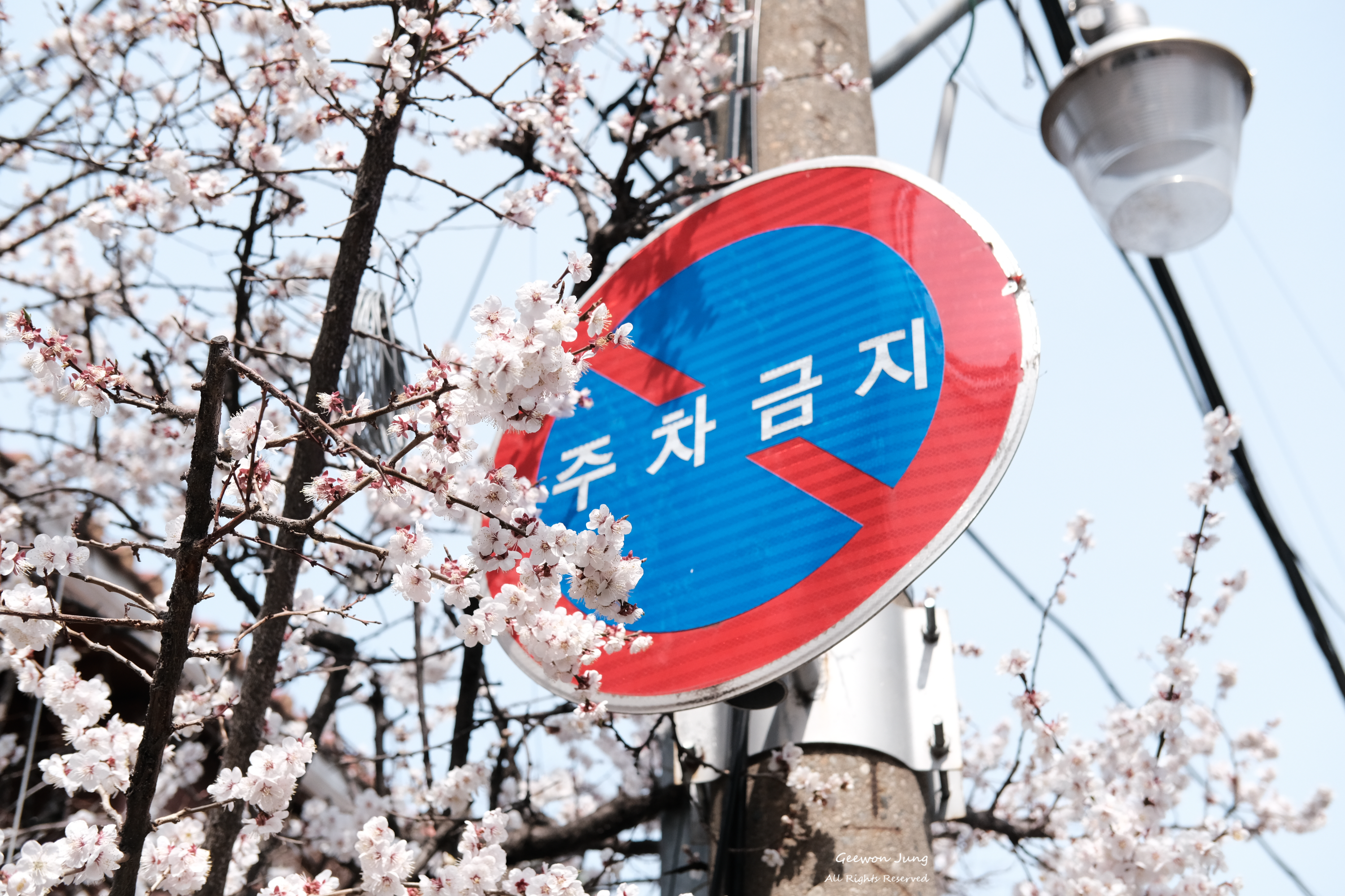 후지 sX10 클래식 크롬