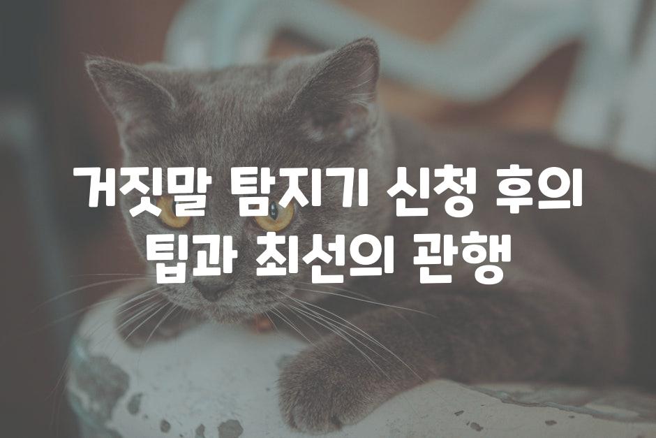 거짓말 탐지기 신청 후의 팁과 최선의 관행