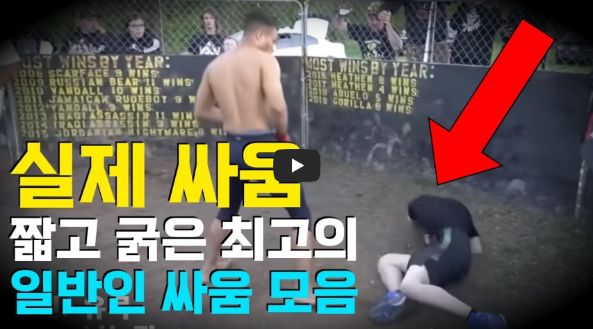  일반인 싸움 모음