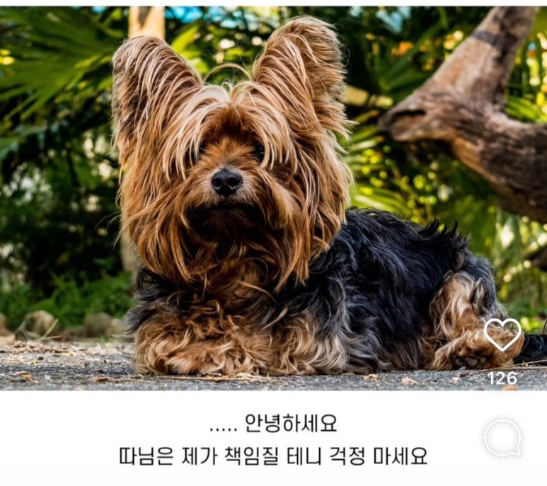 행운마트 이미지