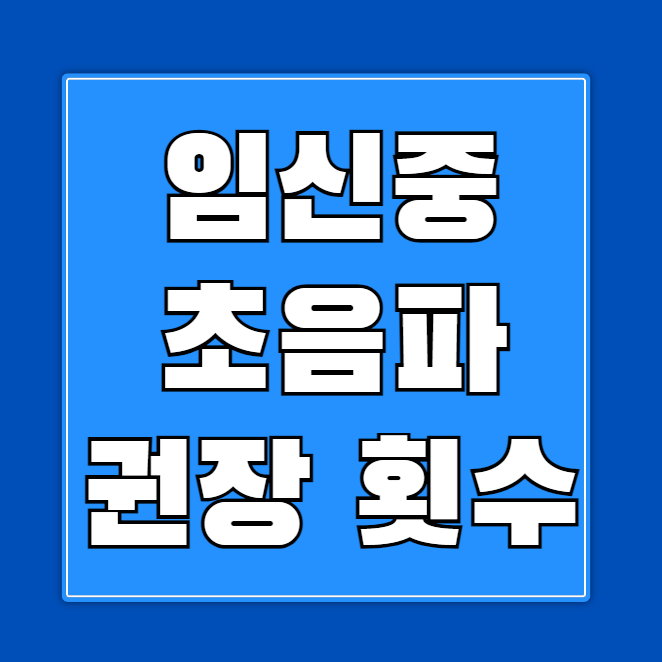 임신중 초음파 권장 횟수