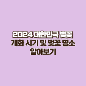 2024 대한민국 벚꽃 개화시기 및 전국 벚꽃 명소 정보 알아보기