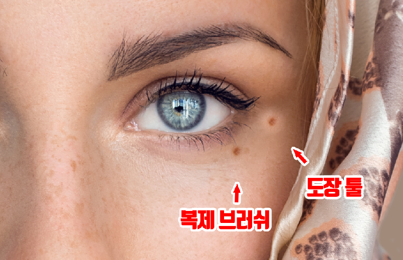 복제 브러쉬와 도장툴의 차이점