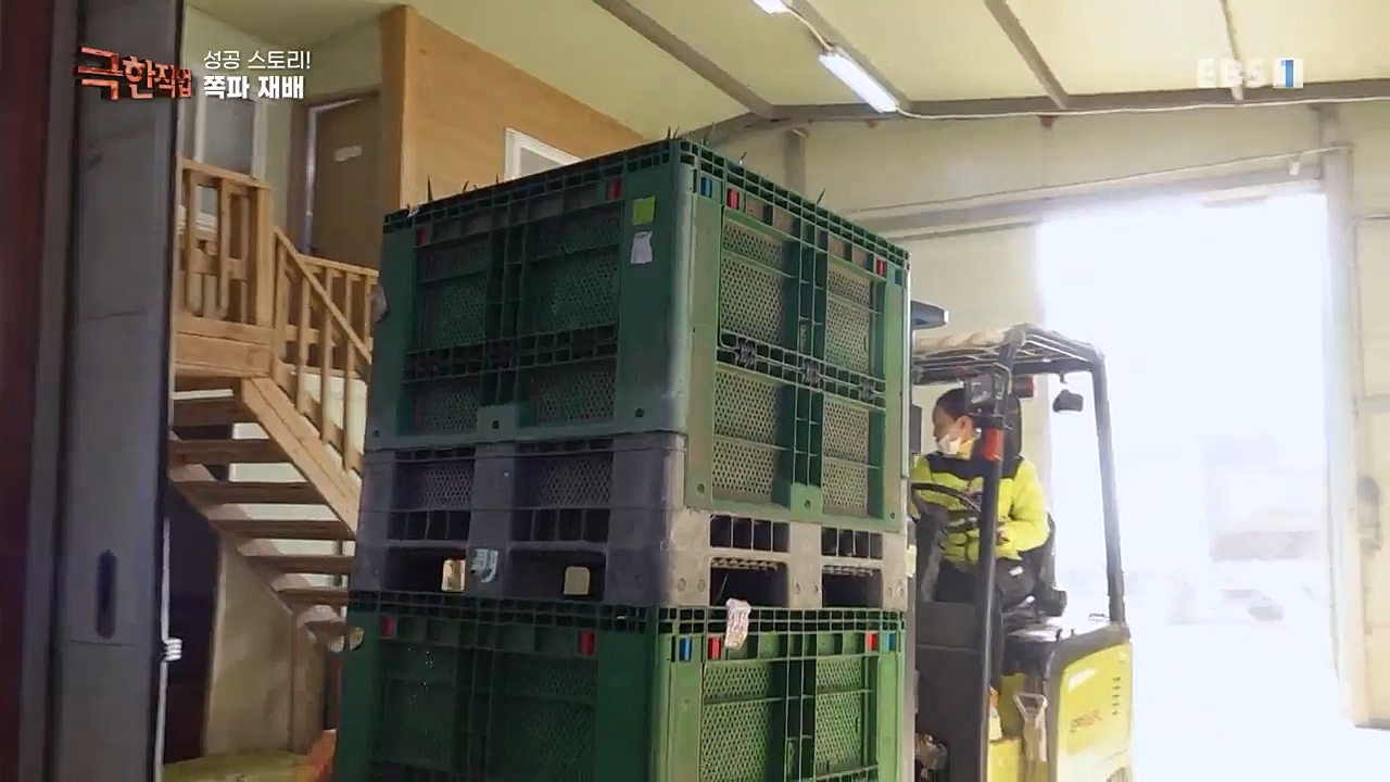 TV - 교육의 중심 EBS성공 스토리! 쪽파 재배와 과일 도매.mp4_20221209_203555.242.jpg