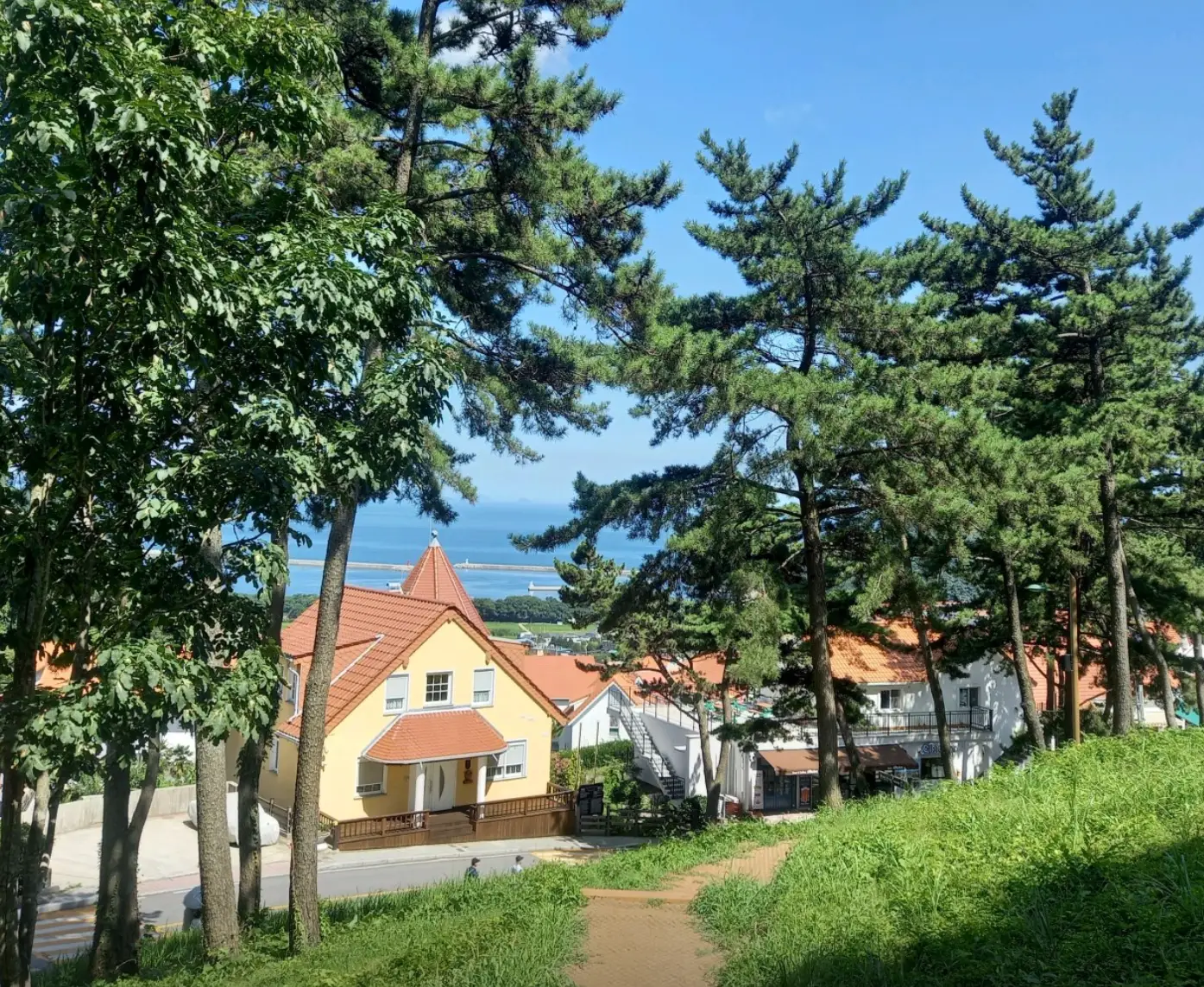 사진25