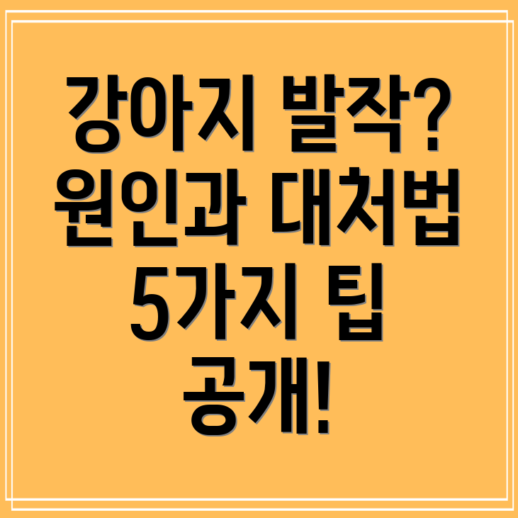 강아지의 발작 및 기절 원인과 대처 방법 5가지!