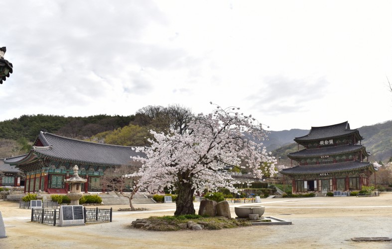 금산사 템플스테이 전경