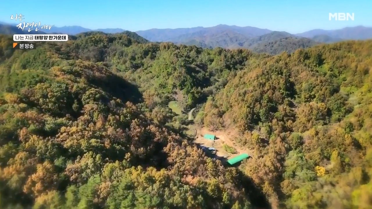 나는 자연인이다.E581.231123p-NEXT.mp4_20231123_200708.600.jpg