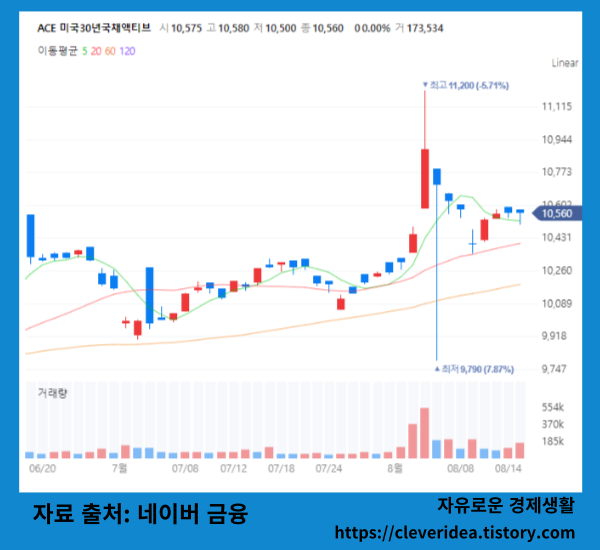 ACE 미국30년채국채액티브