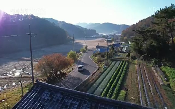 다큐 인사이트 - KBS인생정원 - 붉은 매화가 피면] 봄이면 가장 먼저, 그리고 가장 붉게 피어나는 강인한 소성의 매화.ts_20220818_205146.358.jpg