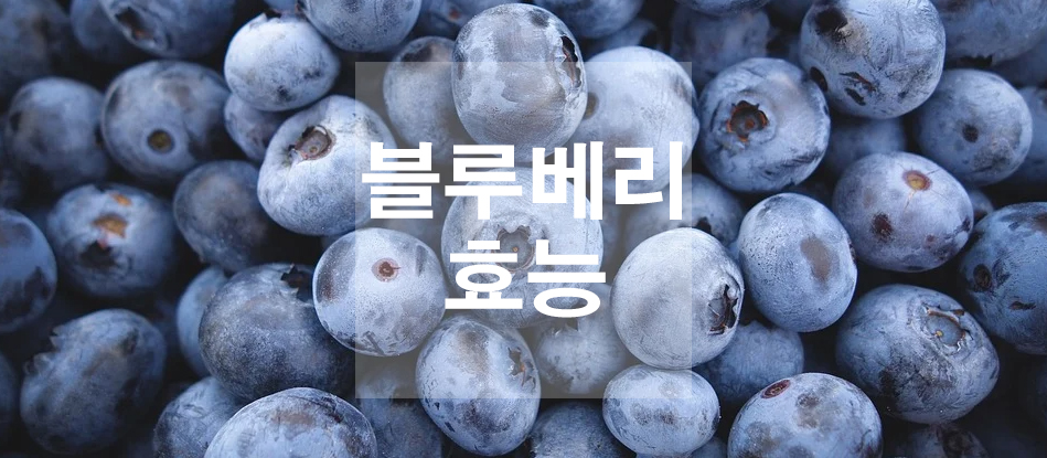  블루베리 효능