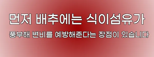  먼저 배추에는 식이섬유가 풍부해 변비를 예방해준다는 장점이 있습니다