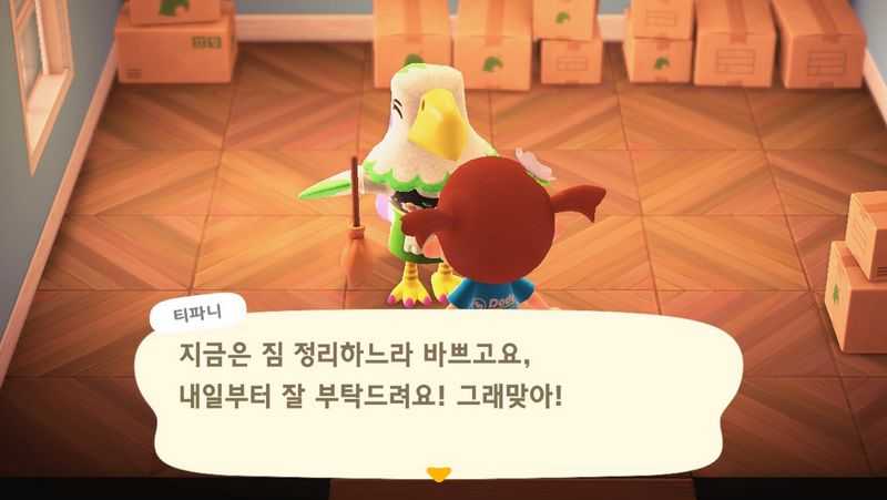 모여봐요 동물의 숲 모동숲 4일째 할일 모여봐요 동물의 숲 모동숲 4일째 할일