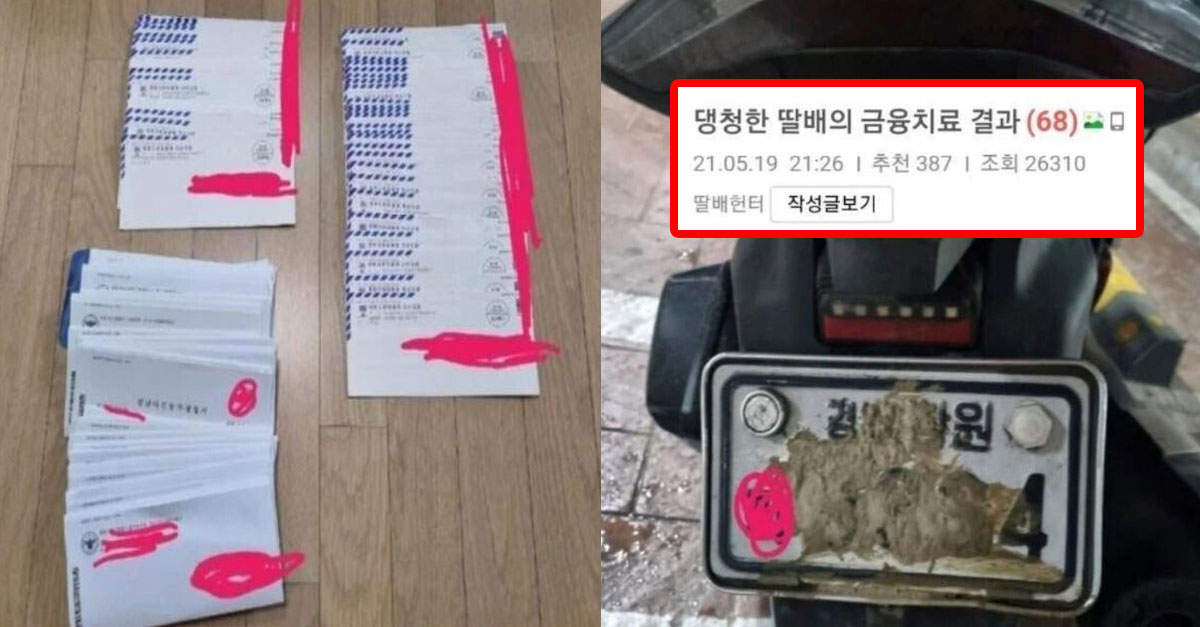  전설의 딸배 사냥꾼