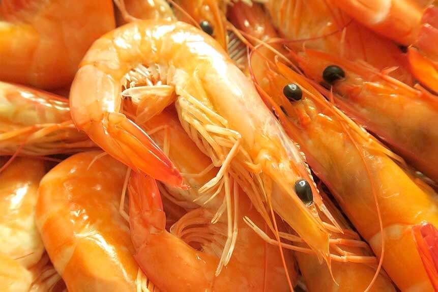  가을철 면역력 높여주는 제철 해산물