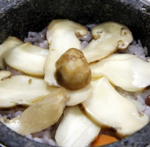 송이요리